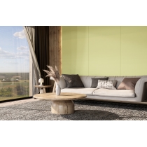 EXPANSE - 39X118 SOLO, LIME, MATTE